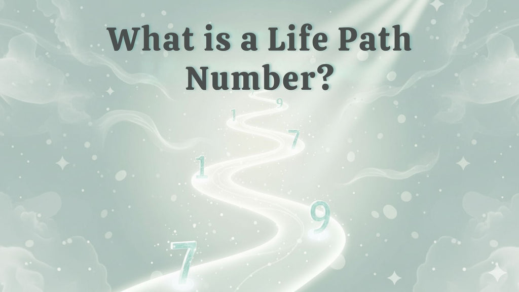 Life Path Number in Numerology: Meaning & Calculation