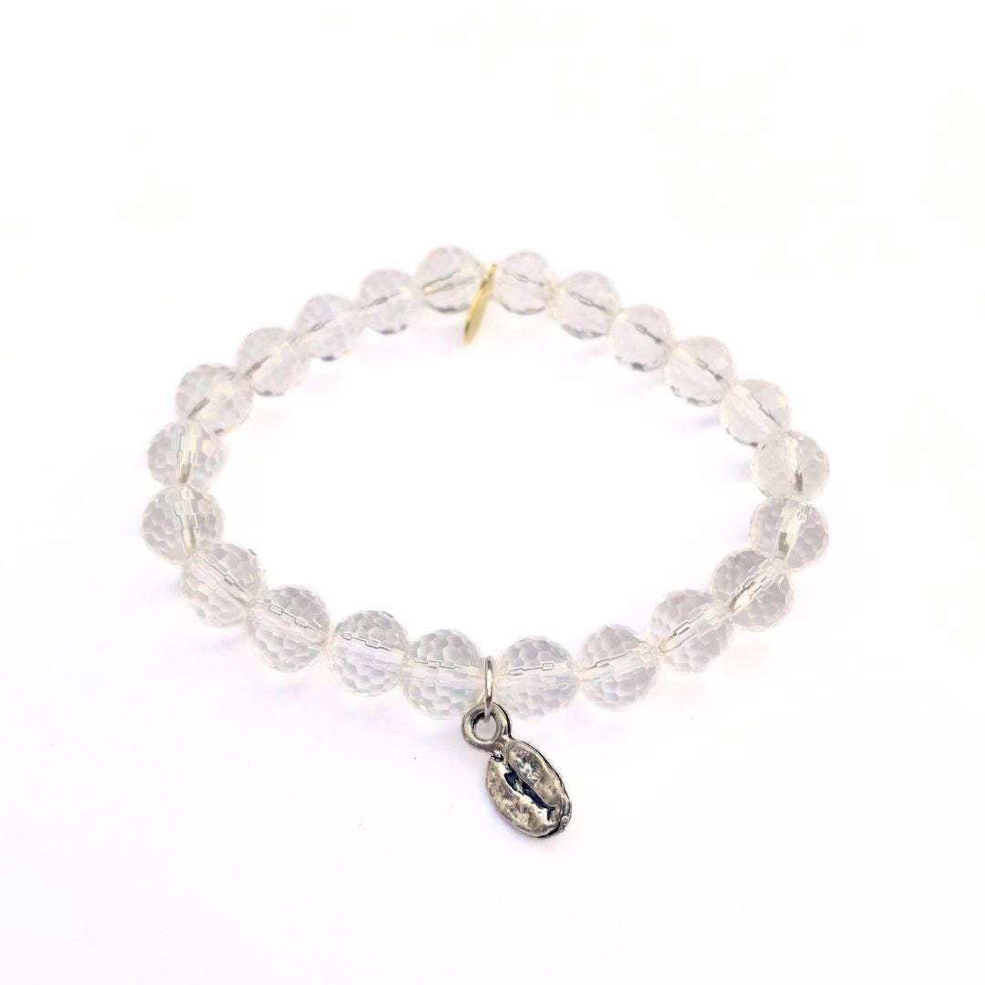 BRIESTA　ブリエスタ　Clear MAXIMA Crystals Preciosa Flatback Rhinestones Crystal 09ss